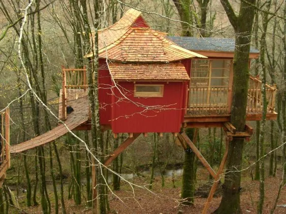 Cabane zen sur un arbre