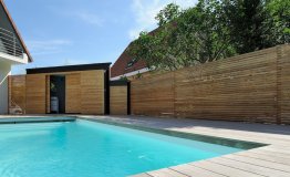Pool house contemporain