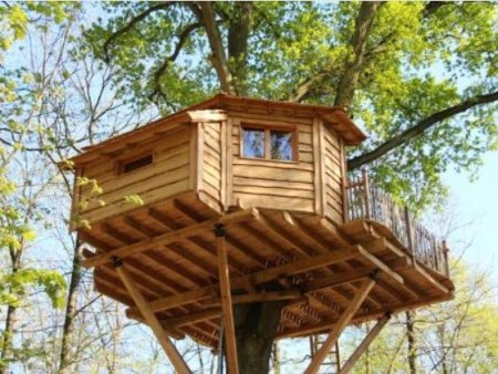 Construire une cabane dans les arbres-Plans à télécharger.